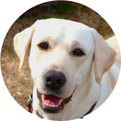 ウィリアム⑤ 20240212